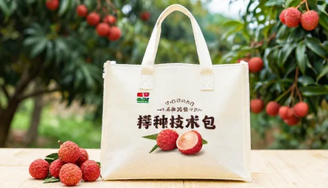厘清定制化解决方案的维护建议误区
