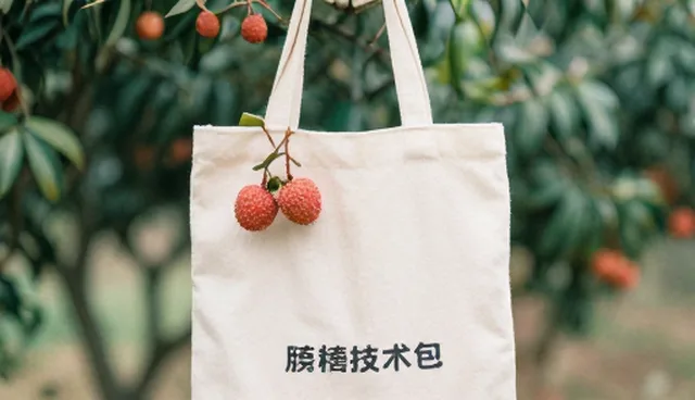提升设备管理效率的维护流程实践建议